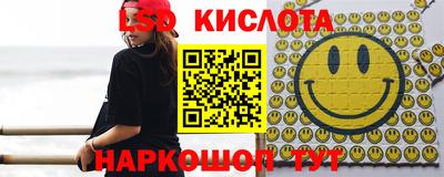 шишки Заводоуковск