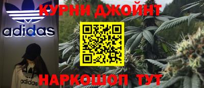 шишки Заводоуковск