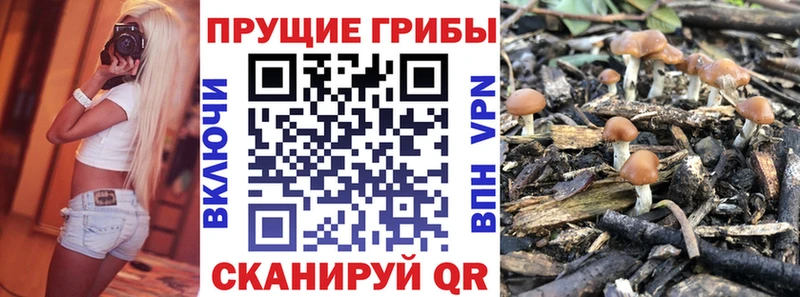 сколько стоит  гидра ТОР  Галлюциногенные грибы прущие грибы  darknet Telegram  Копейск 