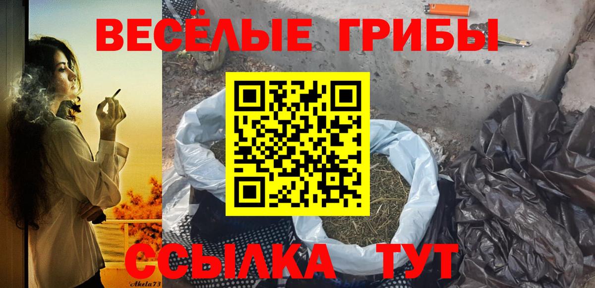 Галлюциногенные грибы Psilocybe  Копейск 