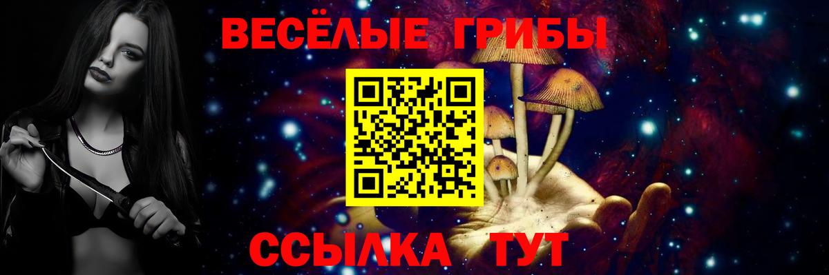 Псилоцибиновые грибы Psilocybe Копейск